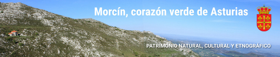 Morcin 970x200