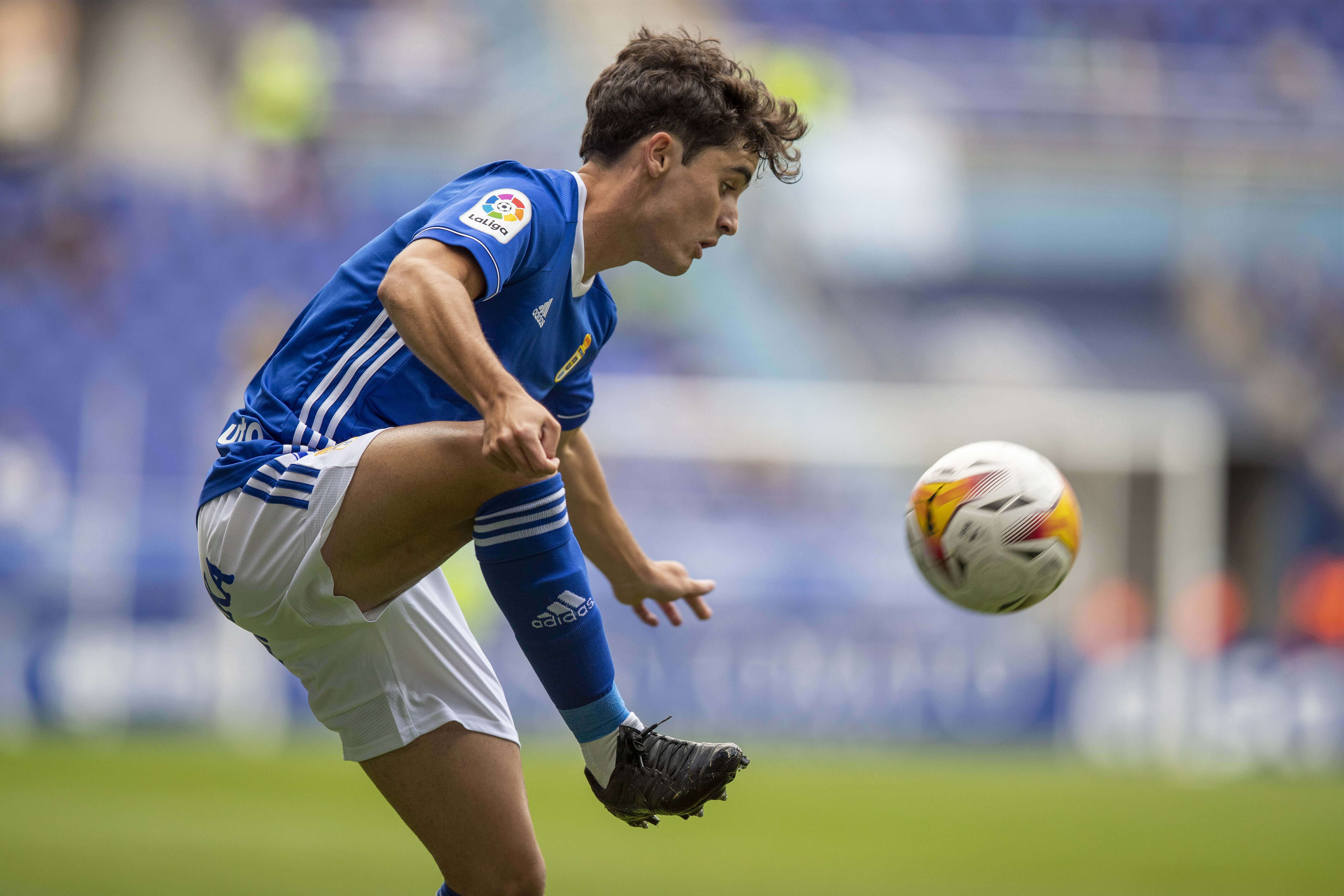 Javi Mier