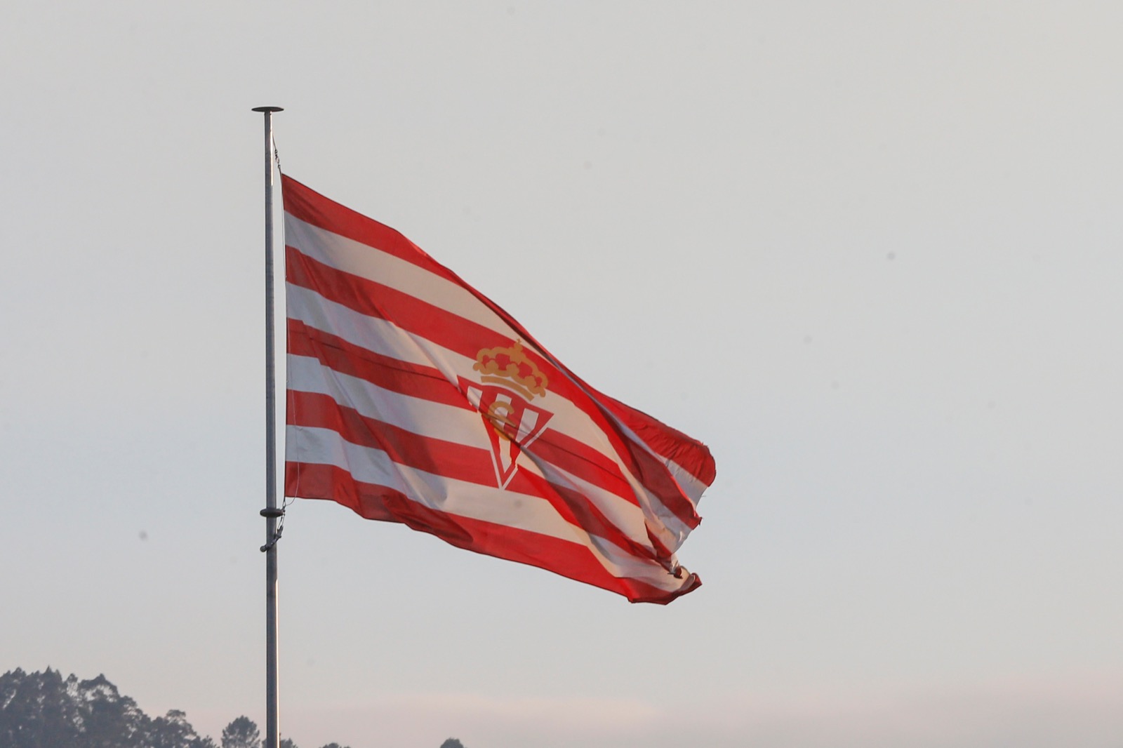 bANDERA Mareo