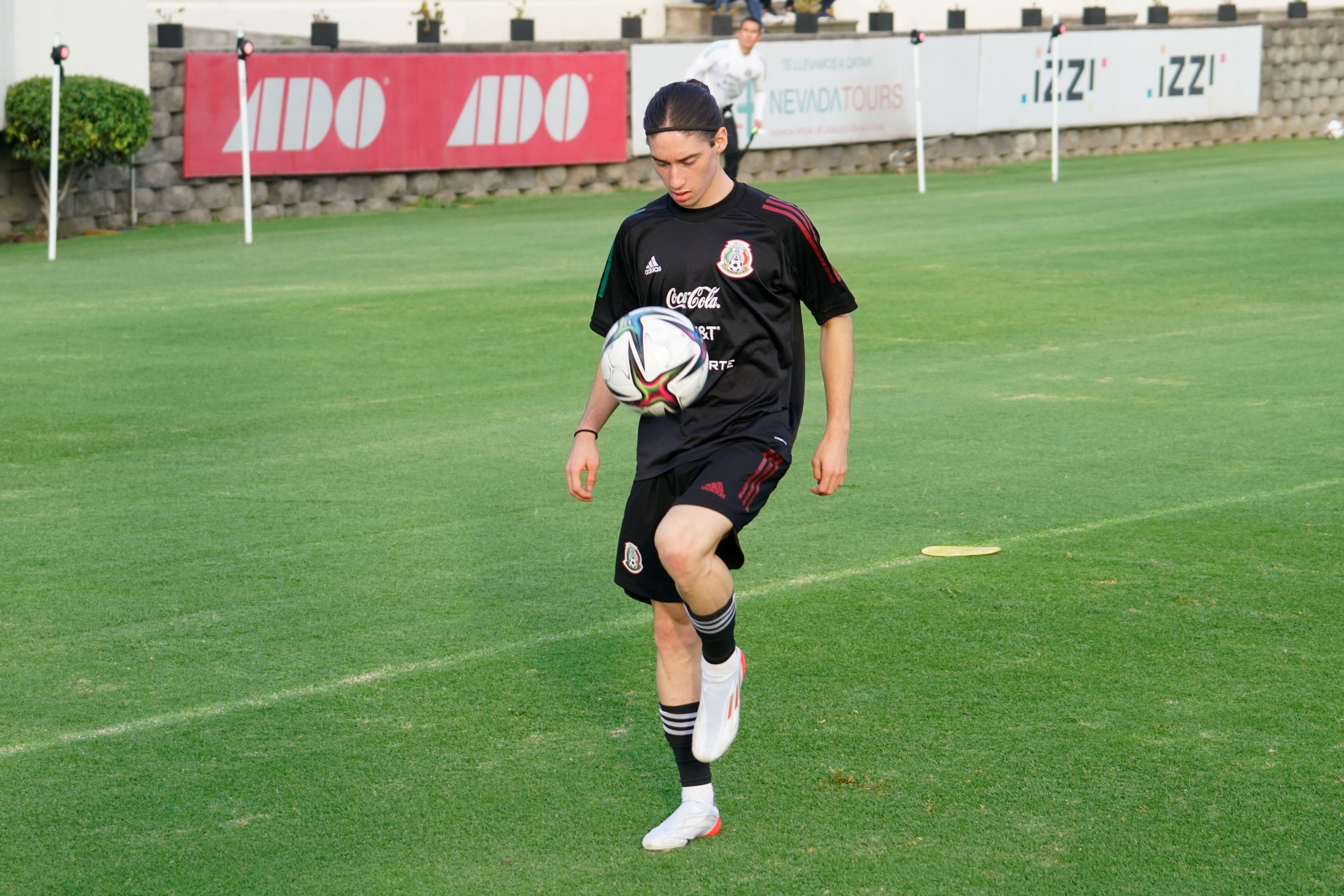 Marcelo Flores