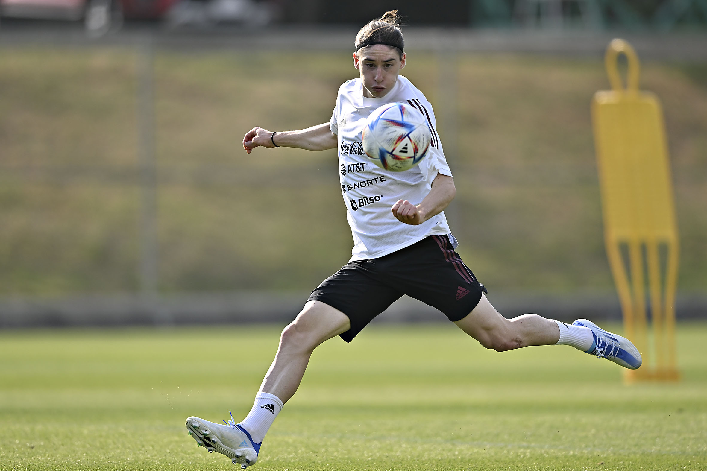Marcelo Flores