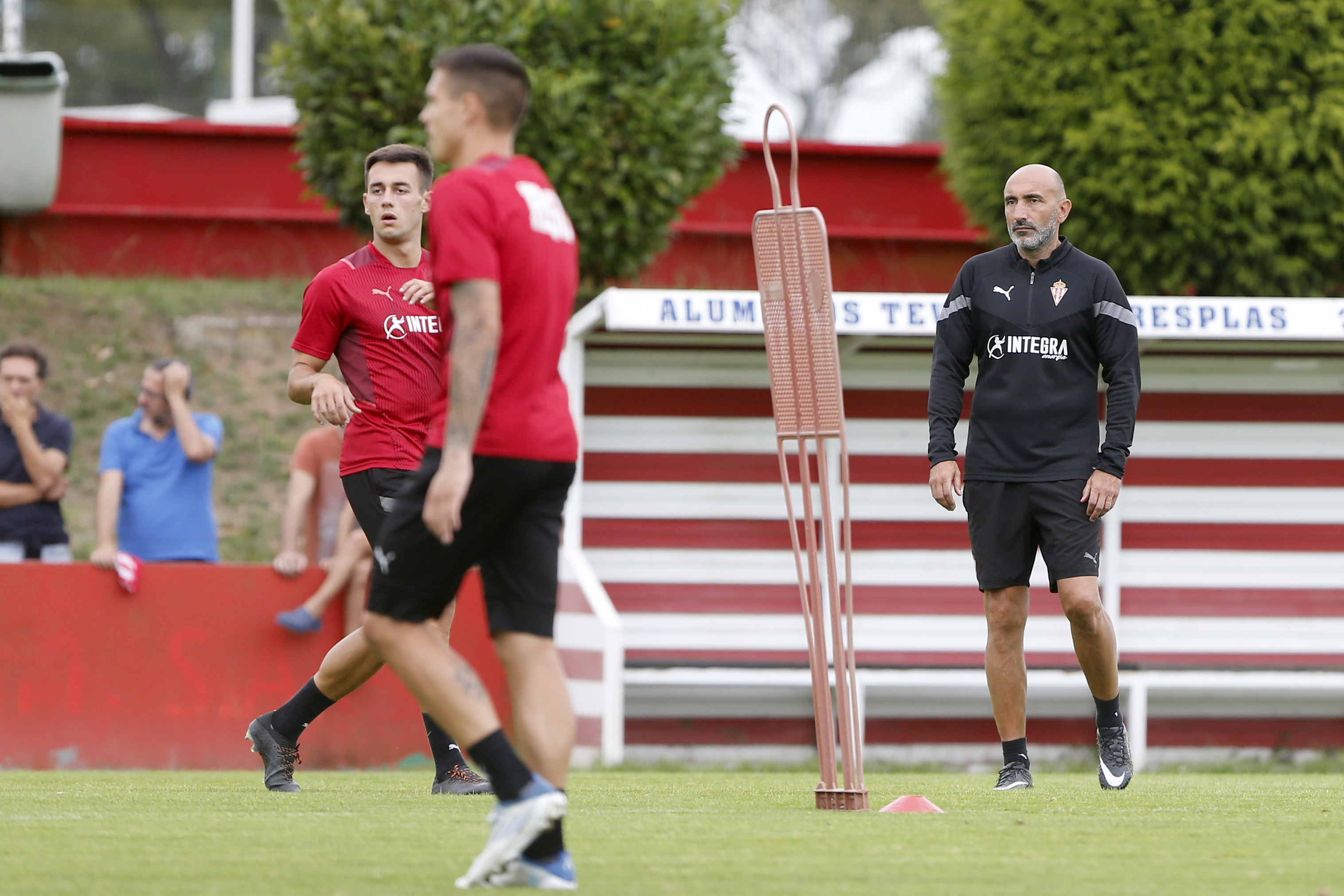 Abelardo