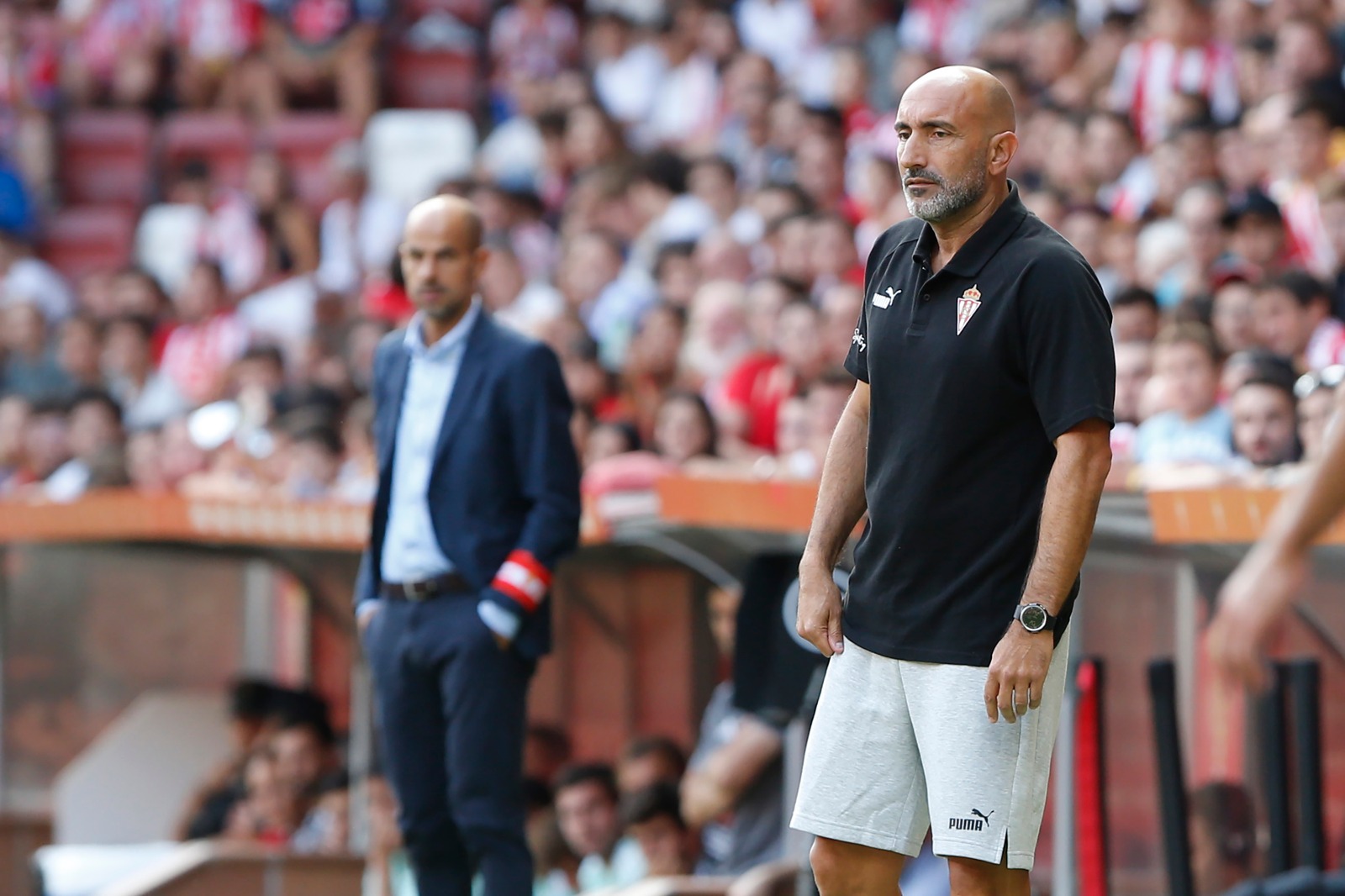 Abelardo