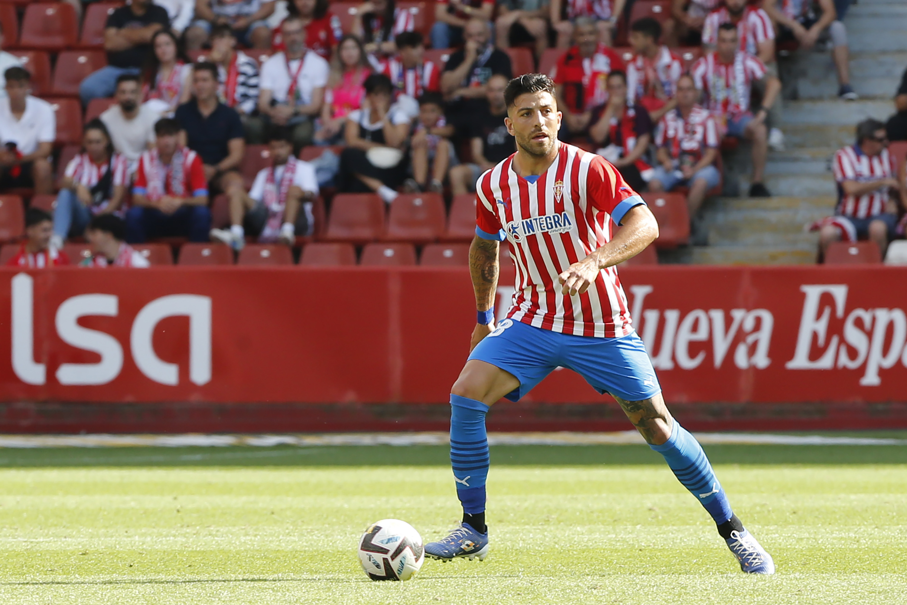 Gio Zarfino