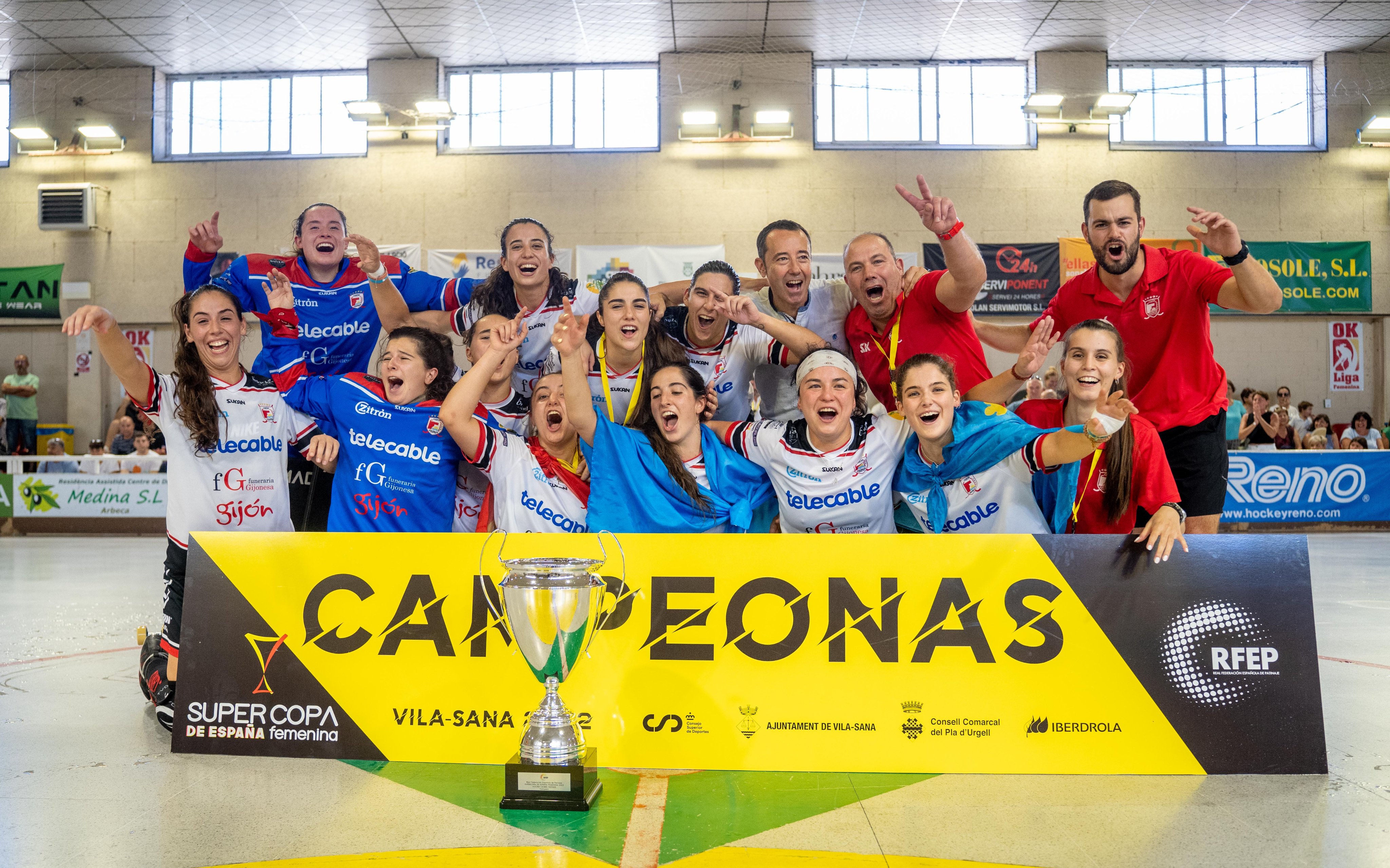 Hockey telecable