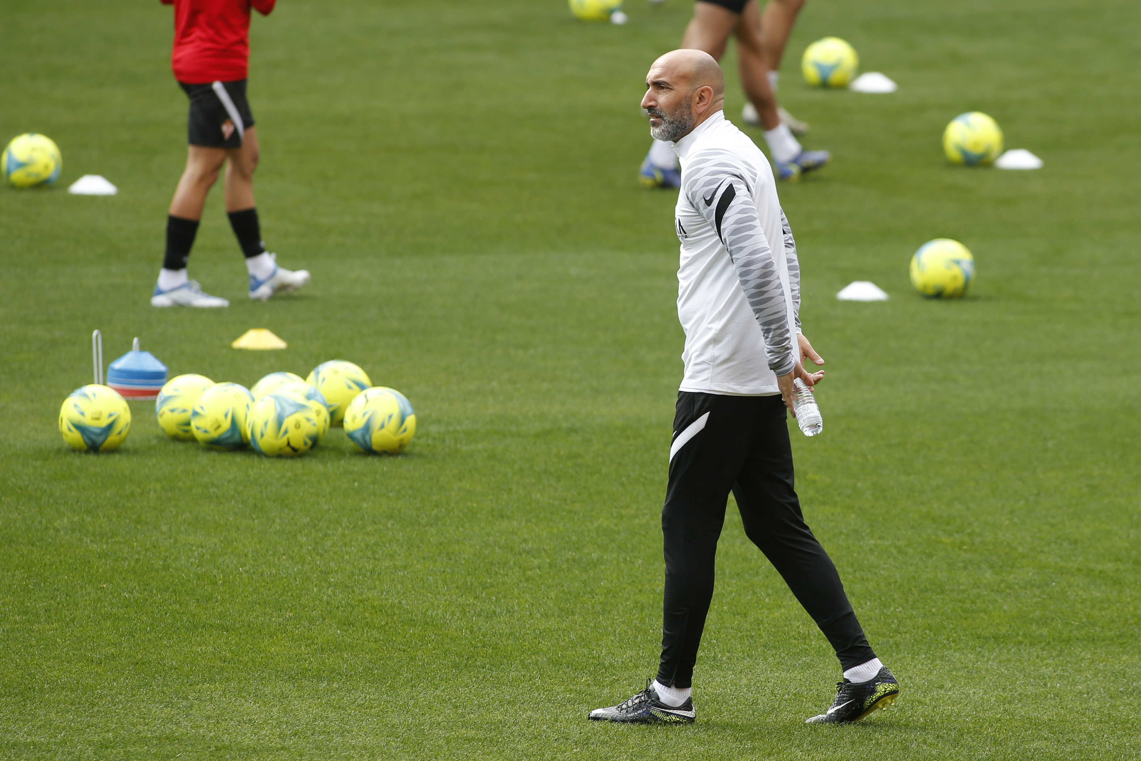 Abelardo