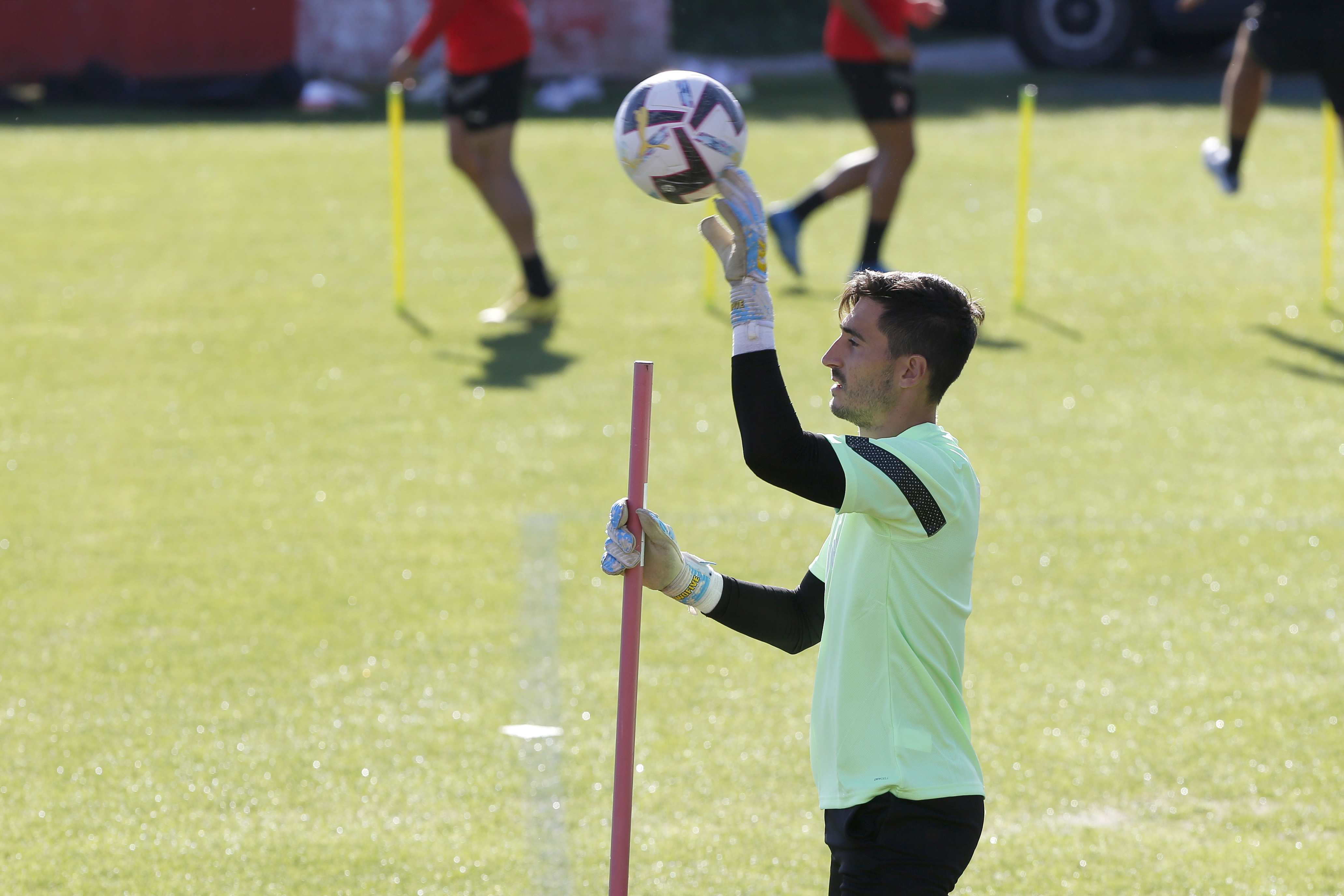 Diego Mariño