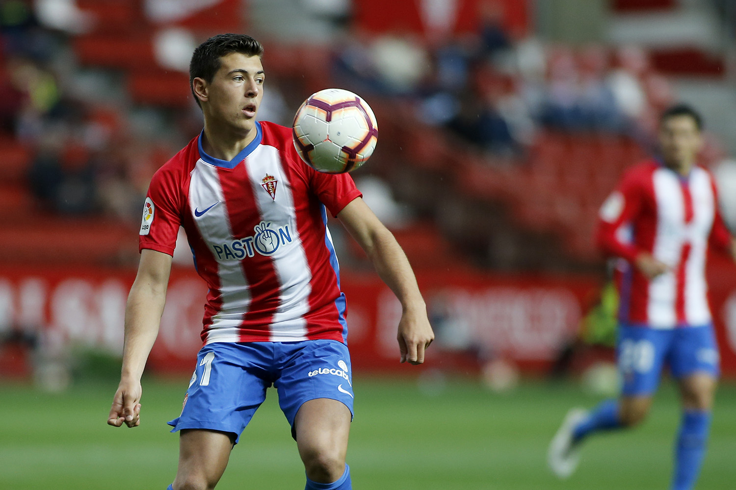 Pelayo Morilla