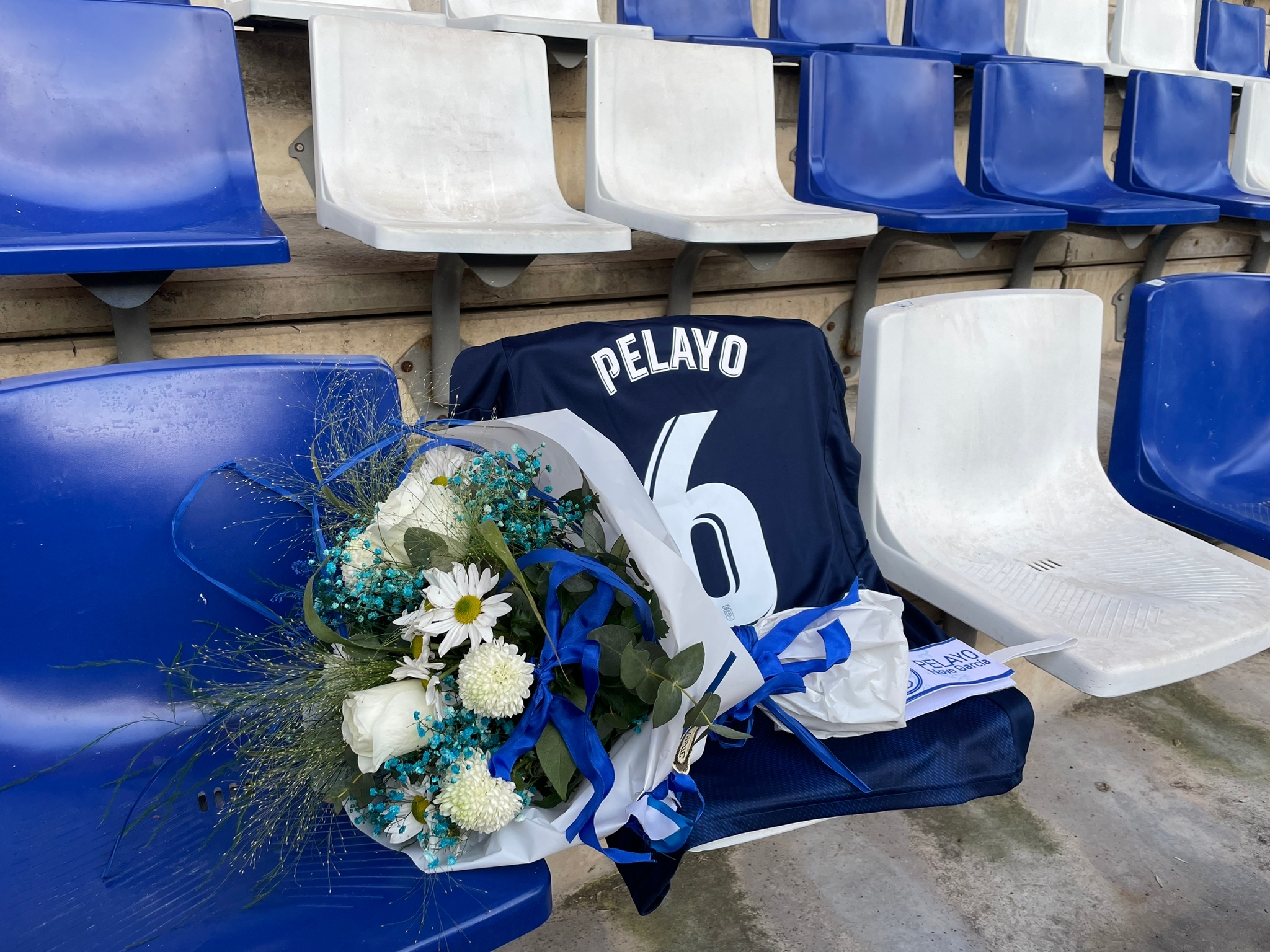 L a camiseta de Pelayo Novo