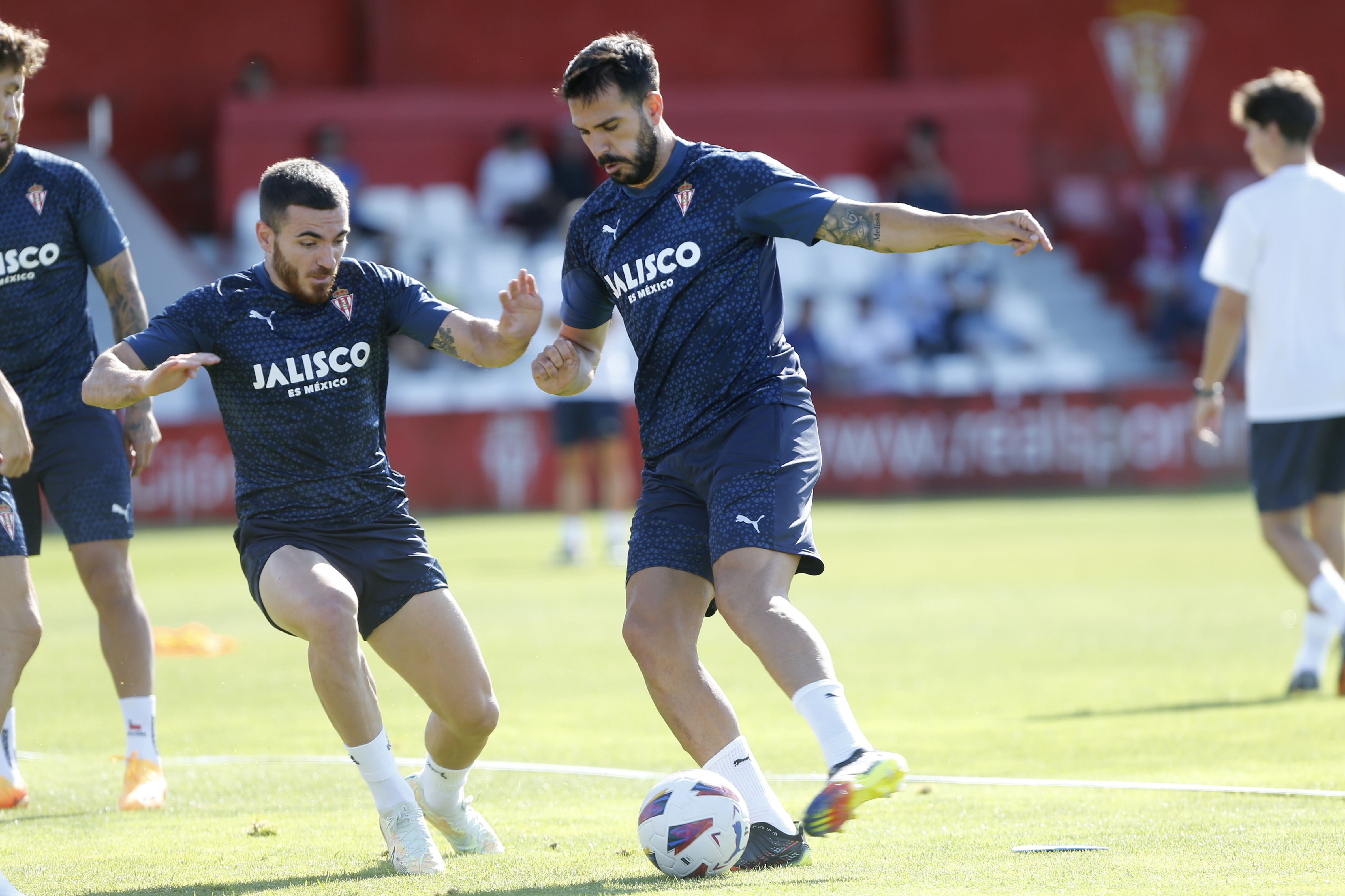 Insua