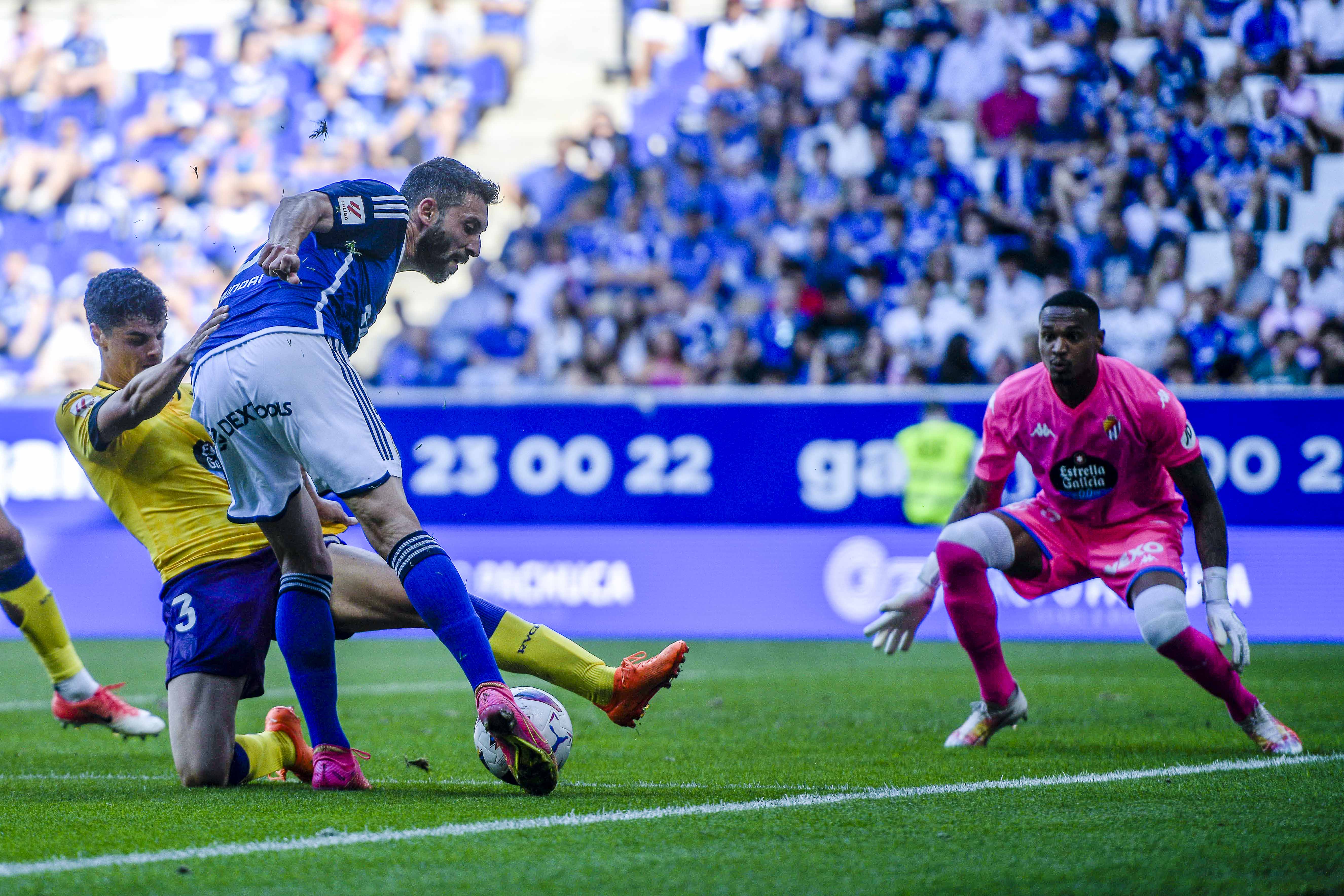 Borja Bastón