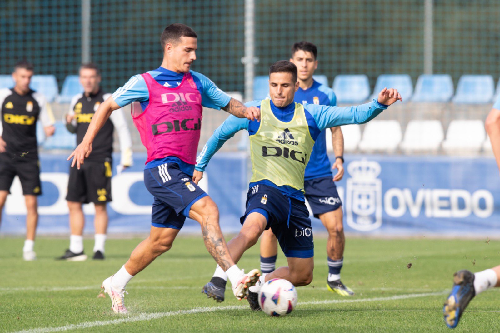 luismi