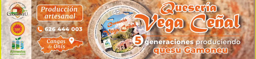 QUESERIA VEGA CEÑAL