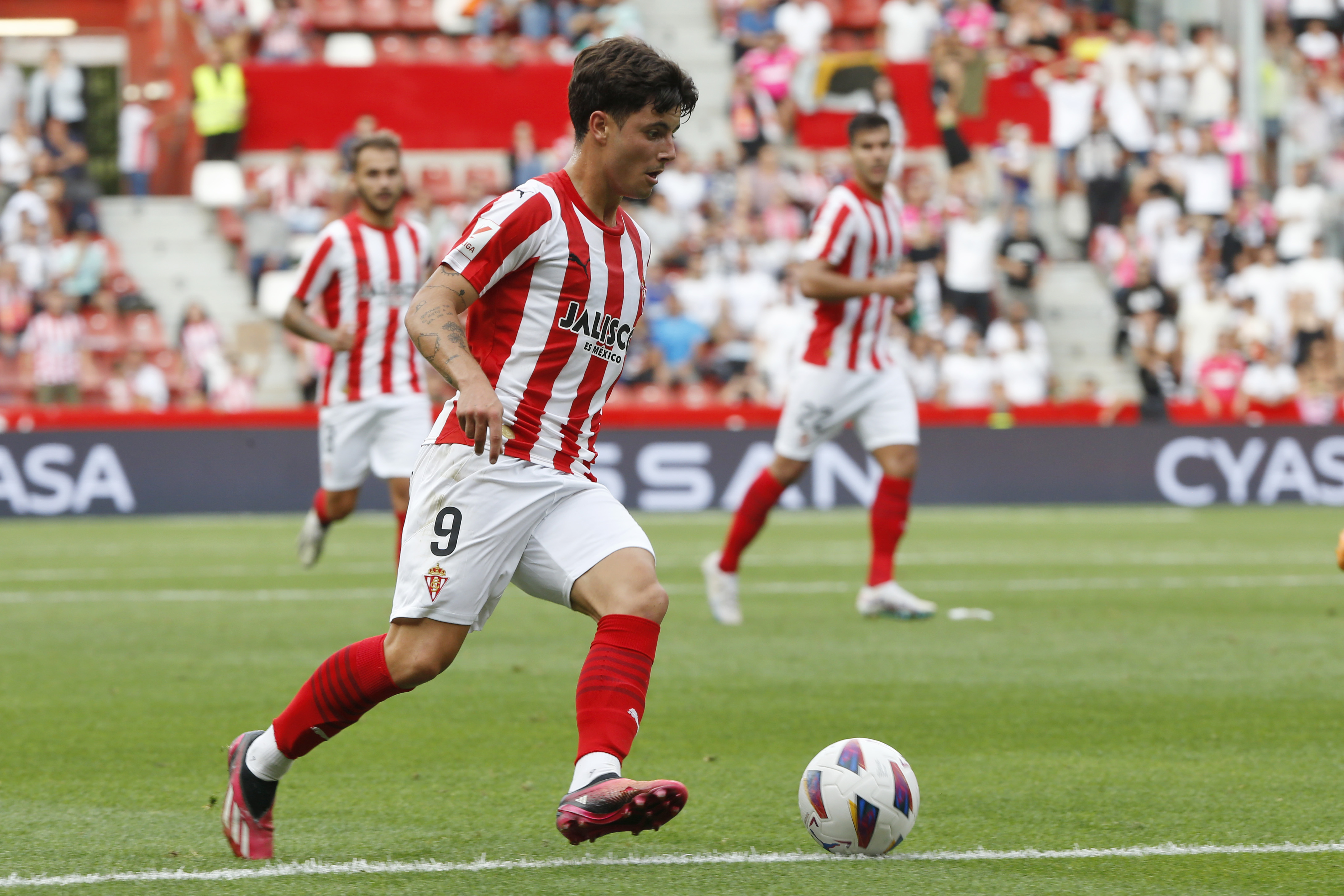 Dani Queipo