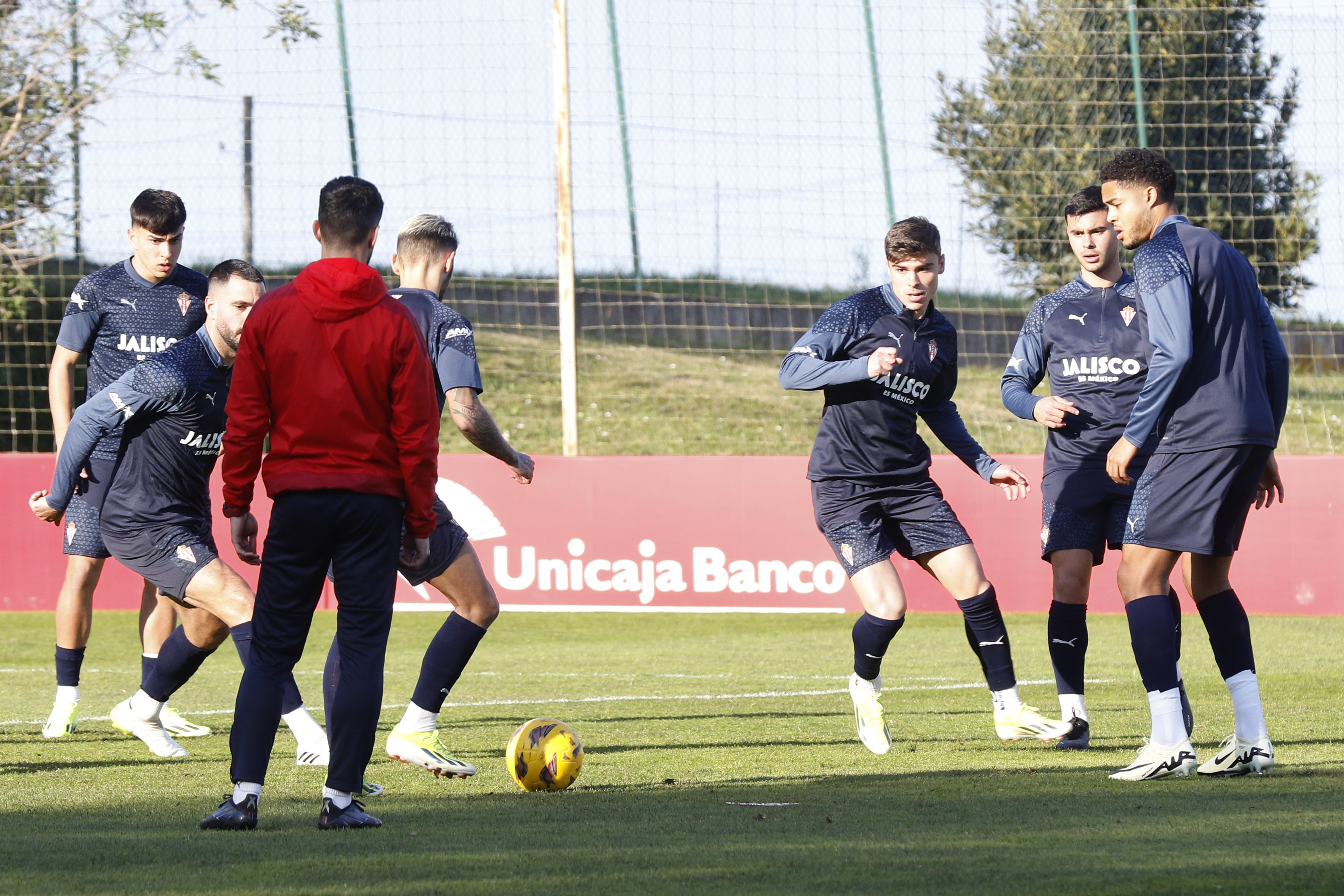 Entrenamiento 