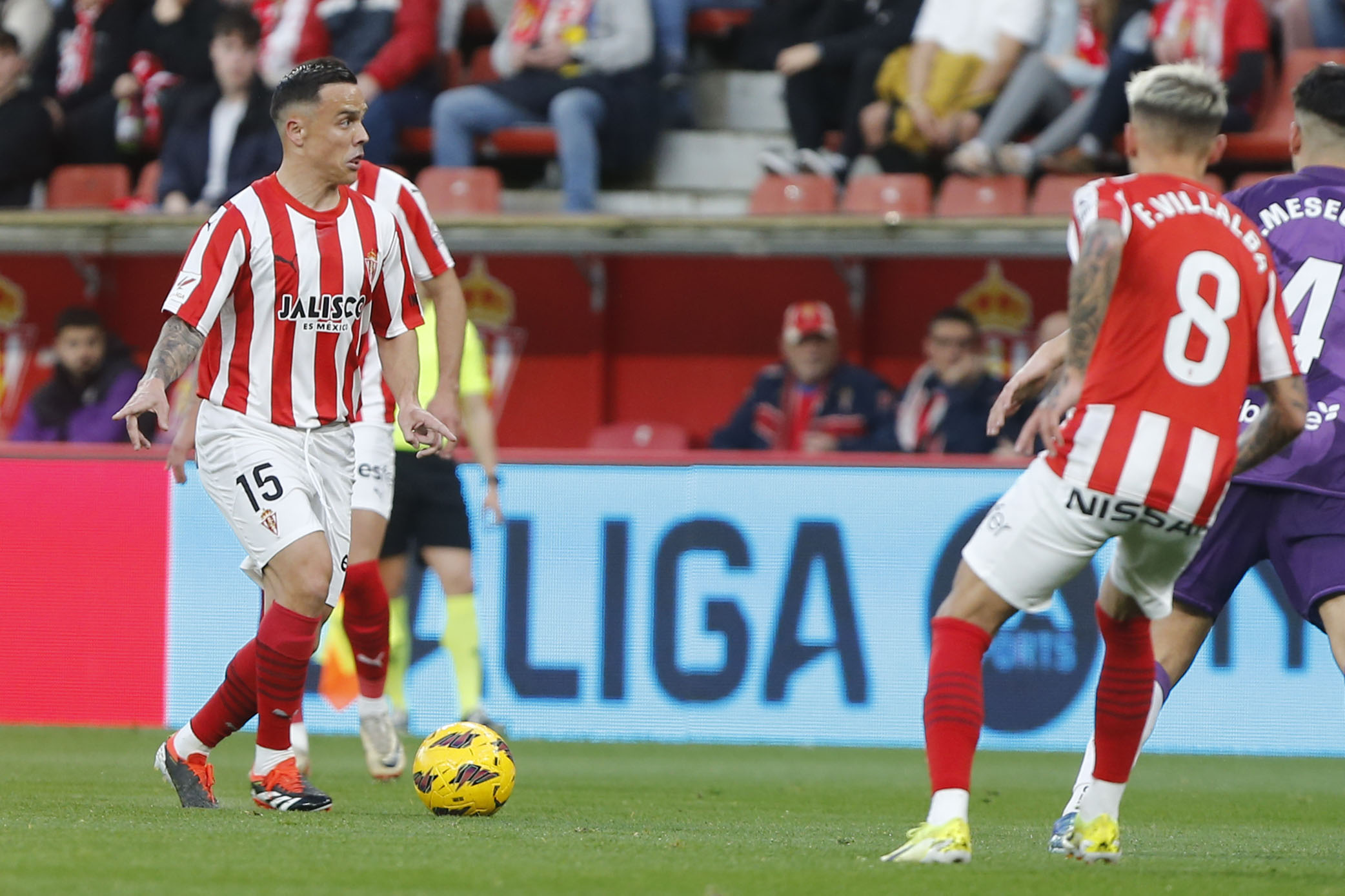 Roque Mesa