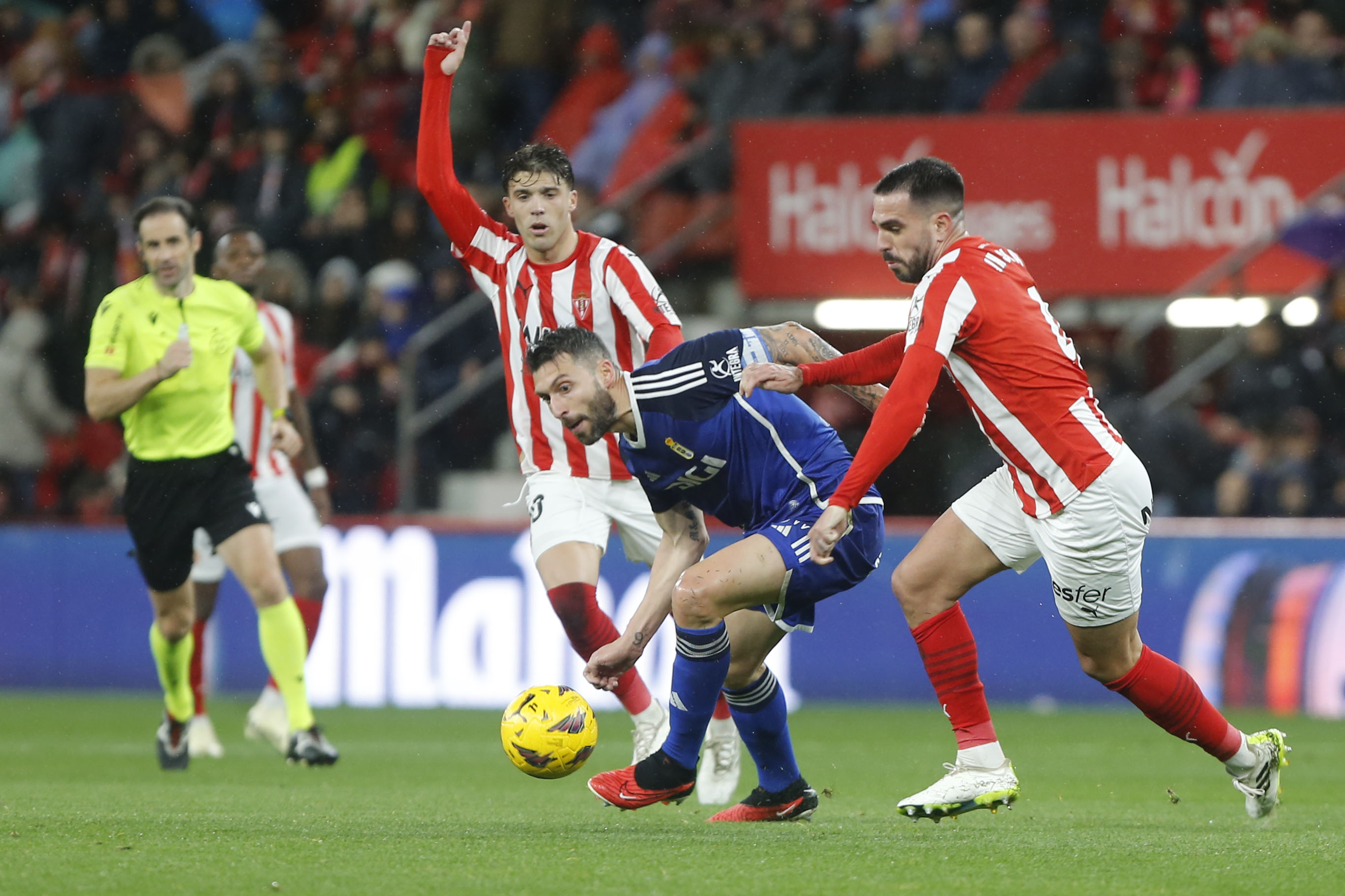 Insua Bastón