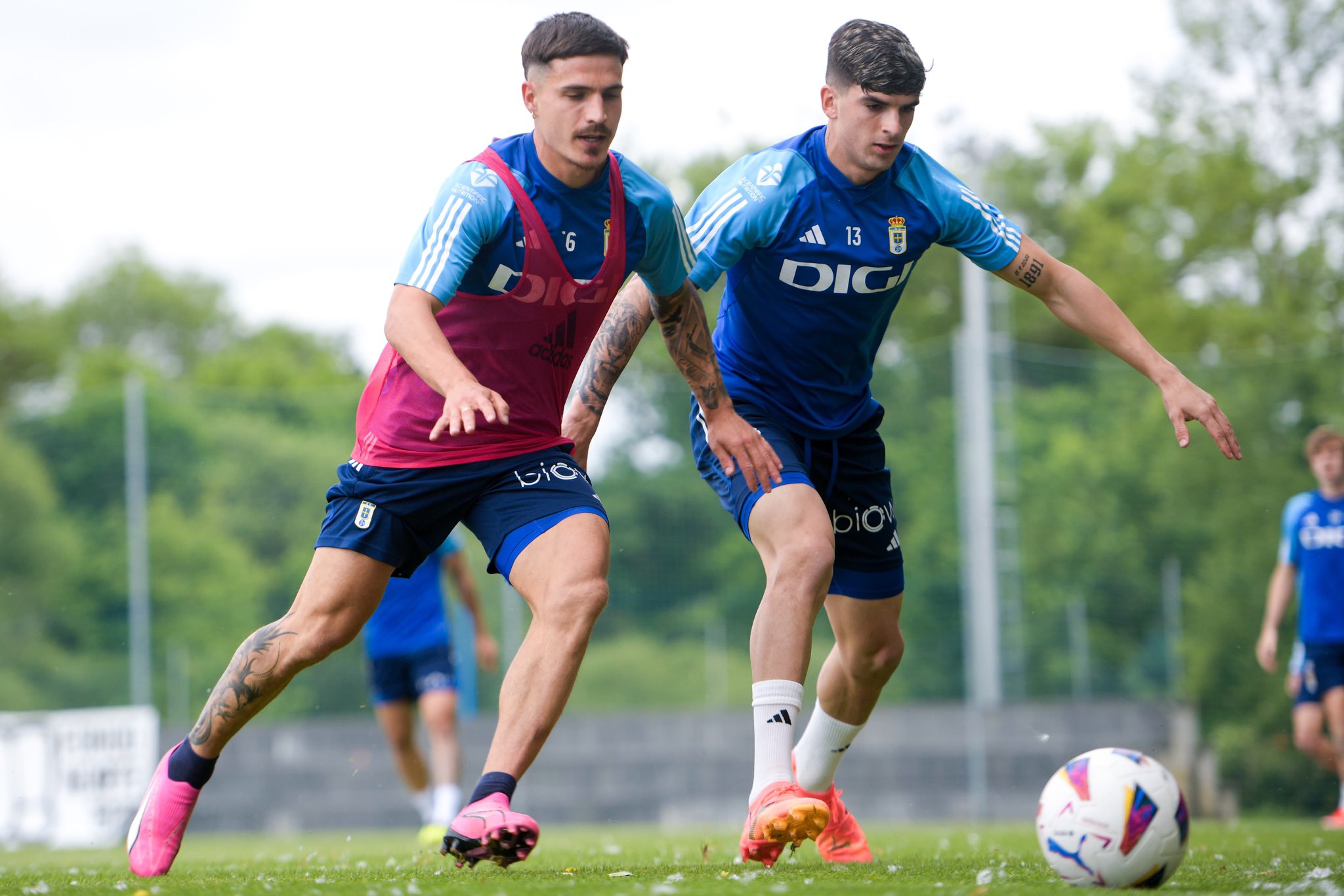 Seoane y Homenchenko