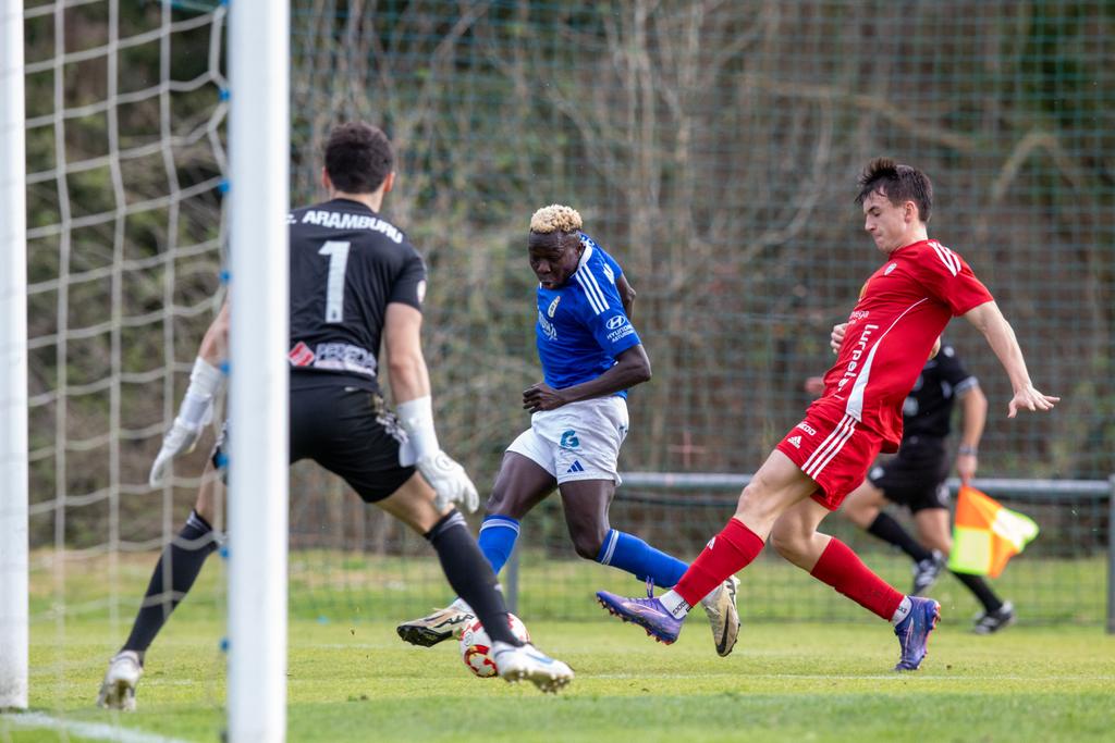 Lamine