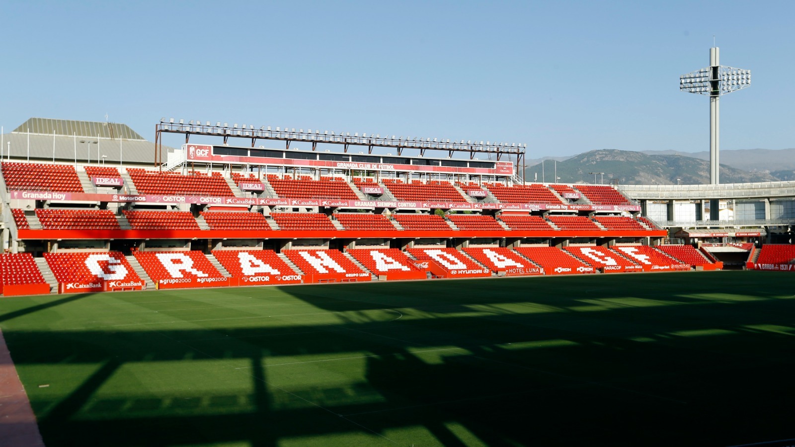 Estadio