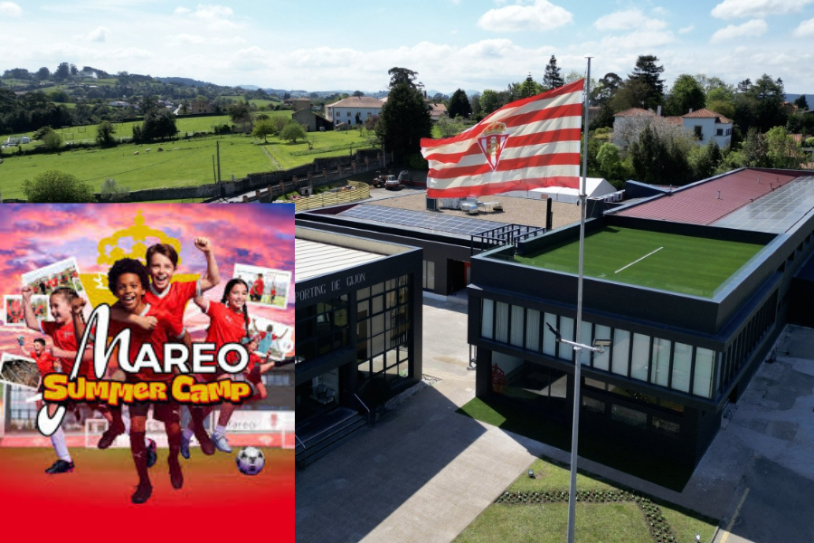 Mareo